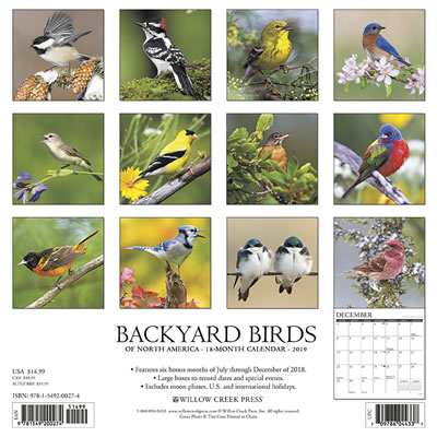 2019 Backyard Birds of North America Calendar
